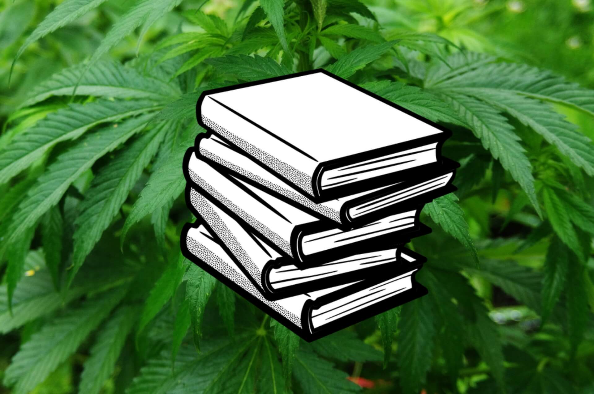 Marijuana Glossary Terms You Should Know | WeedPad.com